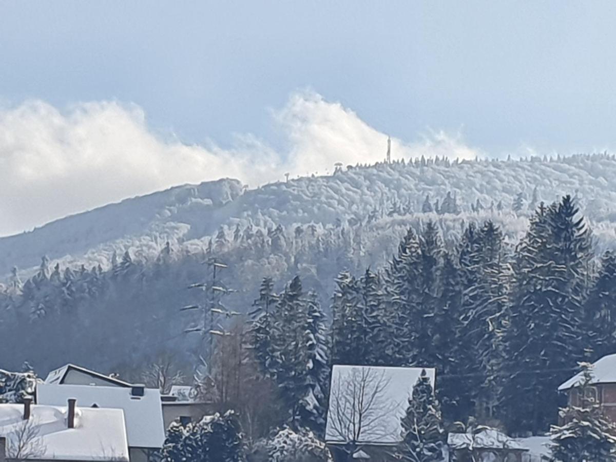 Domek pod Królowem Ustroń Exterior foto